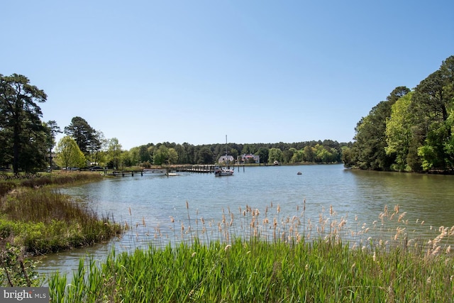 property view of water with a wooded view