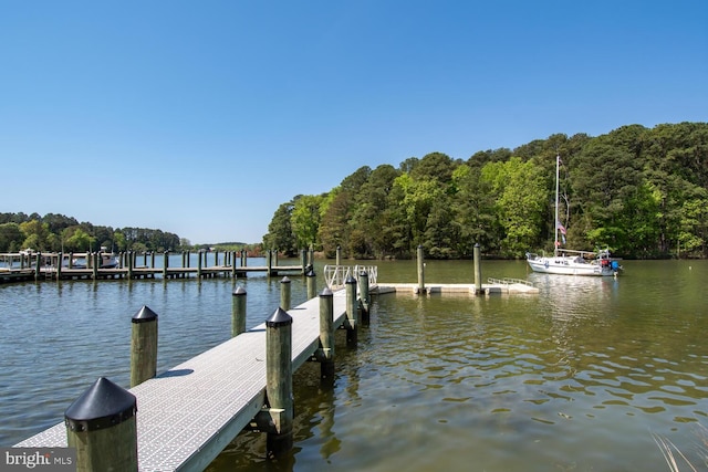 dock area featuring a water view