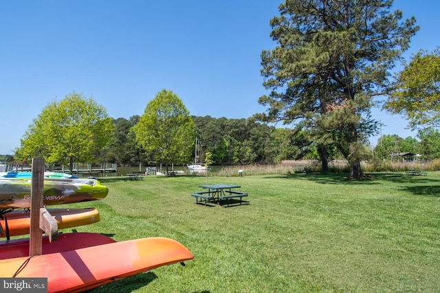 view of community featuring a lawn