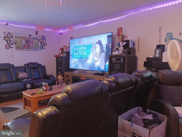 view of home theater room