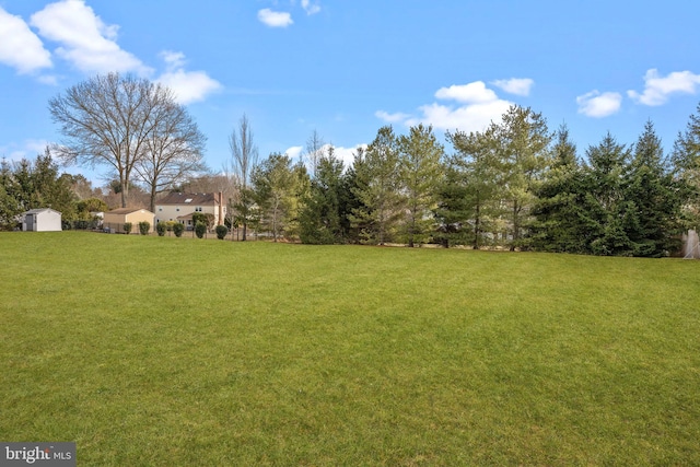 view of yard featuring a storage shed and an outbuilding