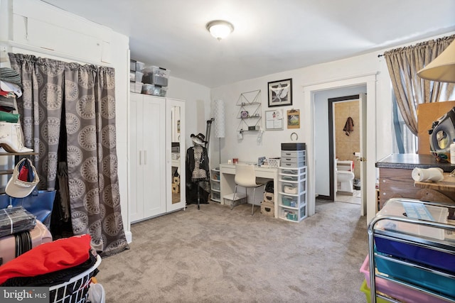 office area featuring carpet flooring