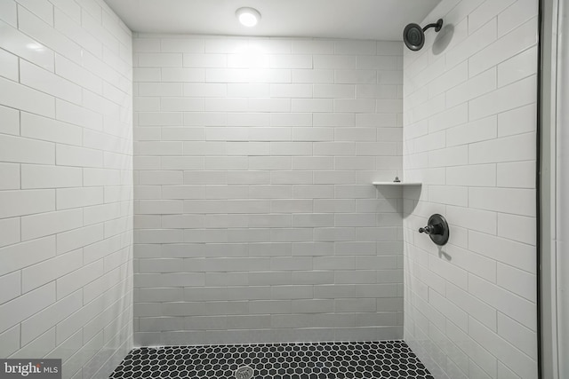 bathroom with a shower stall