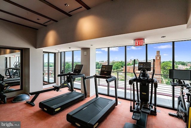 workout area with a wealth of natural light