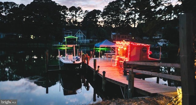 dock area with a water view