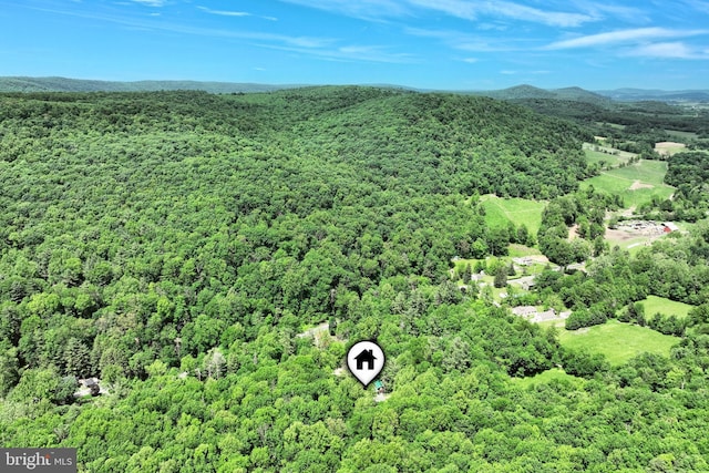60 Fernwood Ln, Fairfield, PA 17320 - aerial view of a forest
