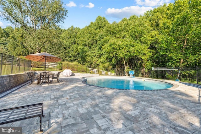 view of pool featuring a patio area, fence, and a fenced in pool