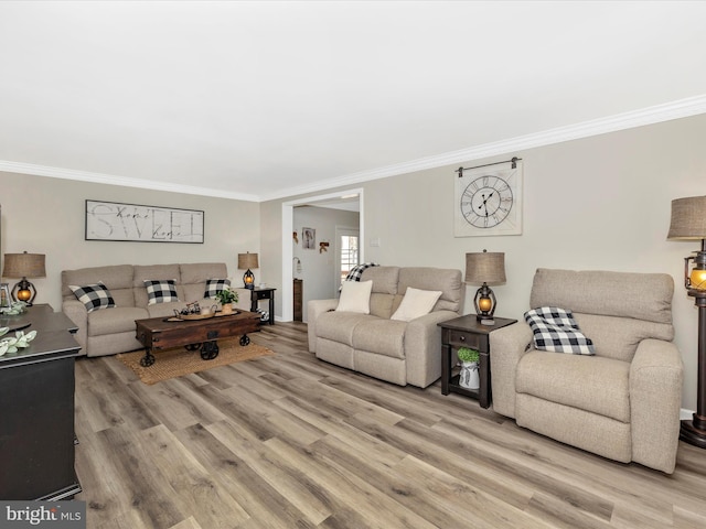 living area featuring light wood-type flooring and crown molding