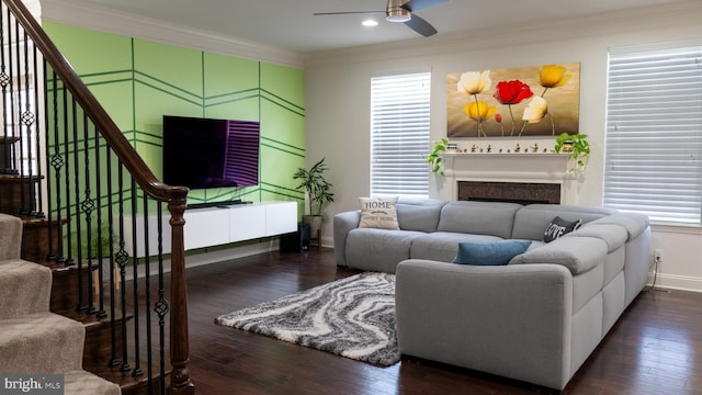 living area featuring ornamental molding, a ceiling fan, dark wood finished floors, and stairs