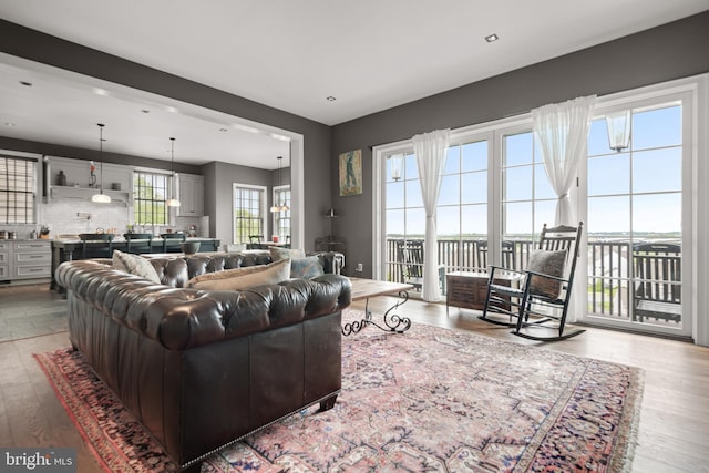 living room with wood finished floors