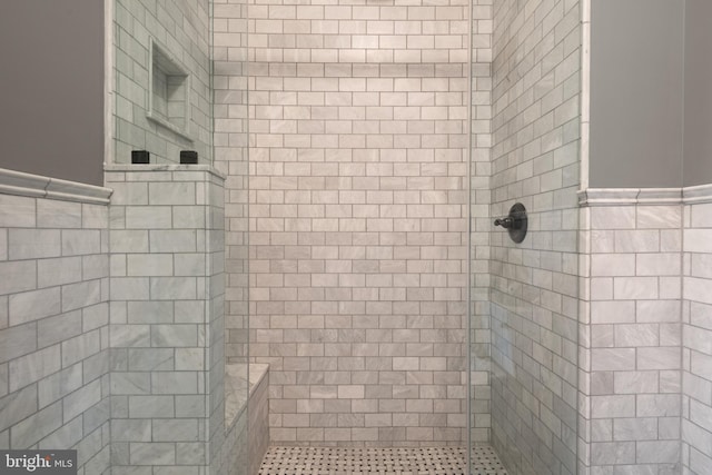 bathroom with wainscoting and walk in shower