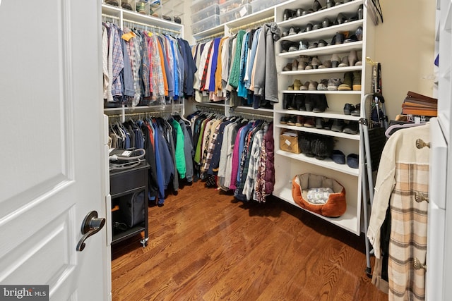 walk in closet with wood finished floors