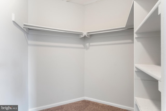 7014 Ellingham Cir Unit F, Alexandria, VA 22315 - spacious closet featuring carpet floors