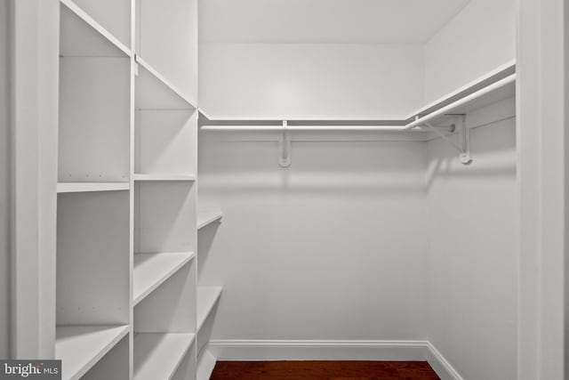 spacious closet featuring wood finished floors