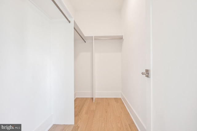 spacious closet featuring light wood-style floors