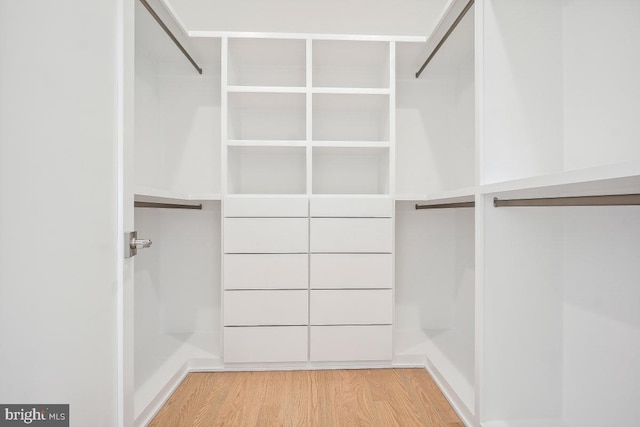 spacious closet featuring wood finished floors