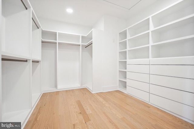 spacious closet featuring light wood-type flooring