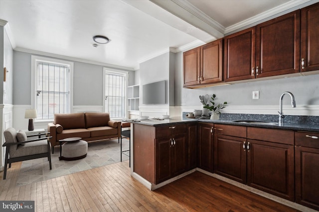 kitchen with crown molding, dark countertops, dark wood-type flooring, wainscoting, and a sink