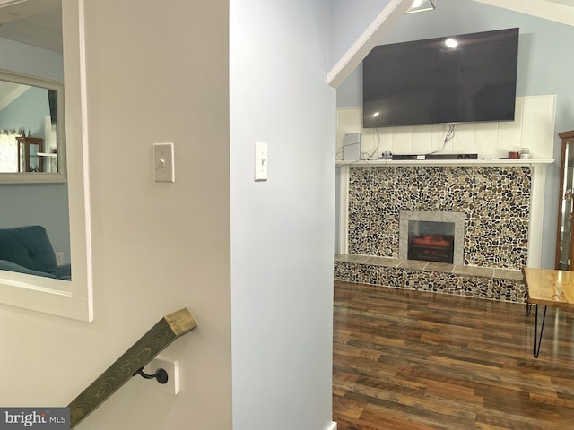 bathroom with a fireplace and wood finished floors