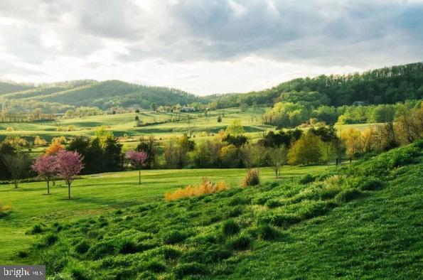 view of home's community featuring a mountain view, a rural view, and a yard