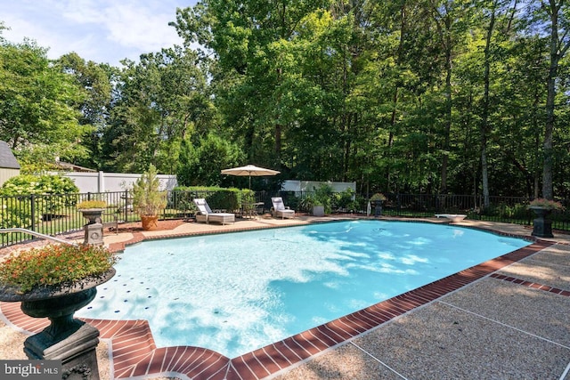 view of swimming pool featuring a fenced in pool, fence private yard, and a patio area