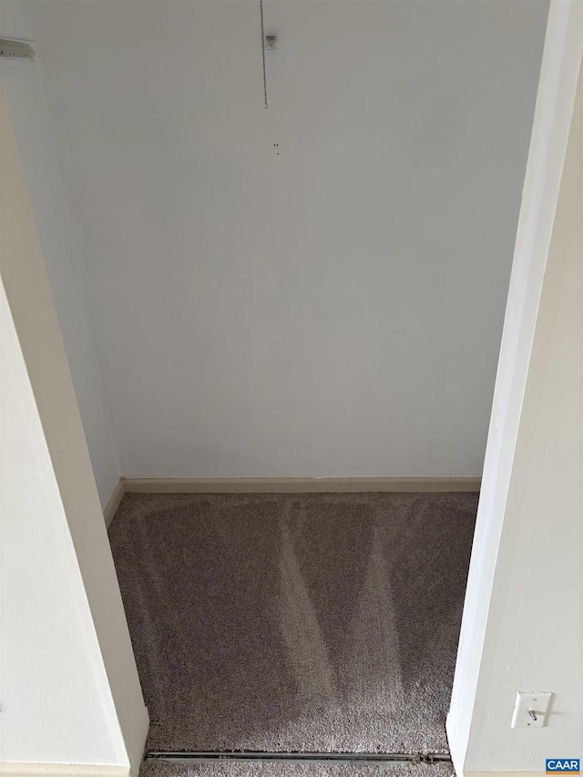 walk in closet with carpet