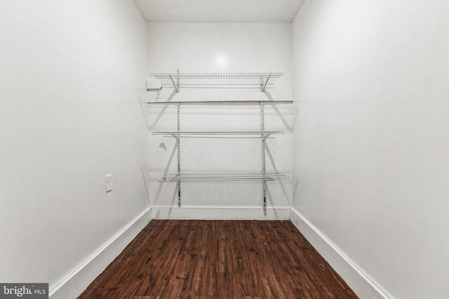 walk in closet featuring wood finished floors