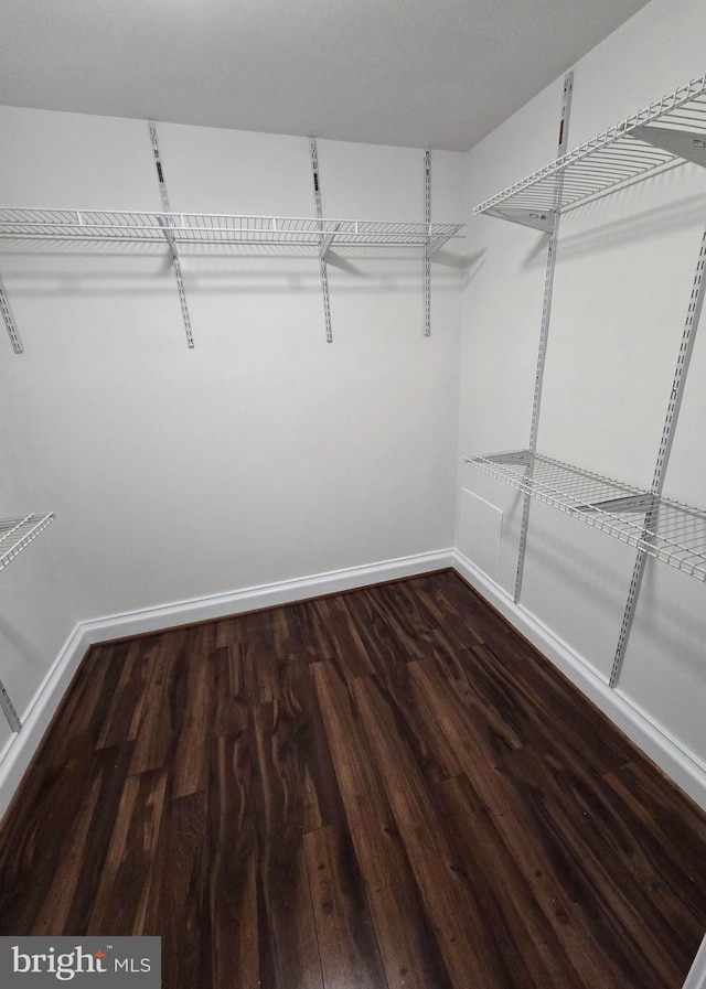 spacious closet featuring wood finished floors