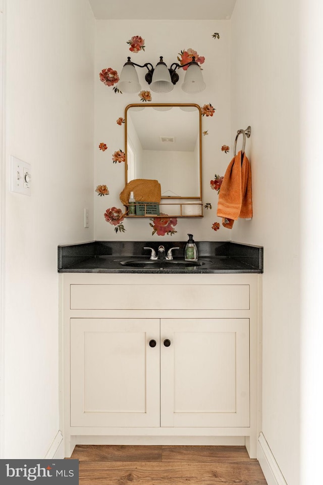 bathroom with wood finished floors and vanity