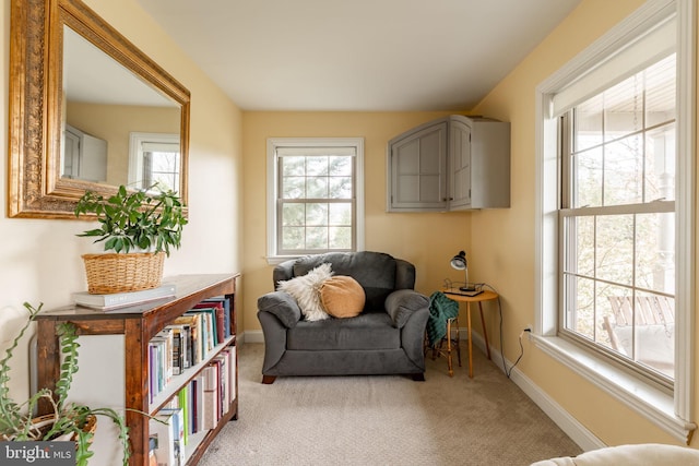 living area featuring carpet and baseboards