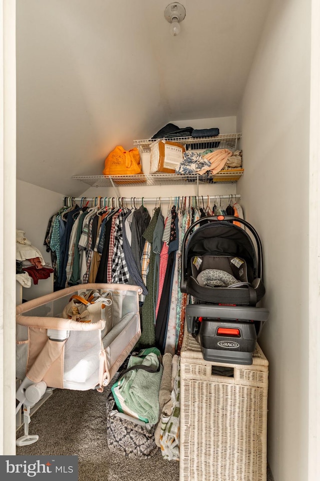 view of closet