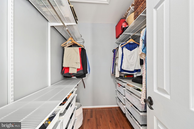 spacious closet featuring wood finished floors