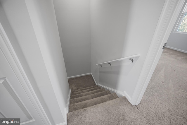 stairs with carpet and baseboards