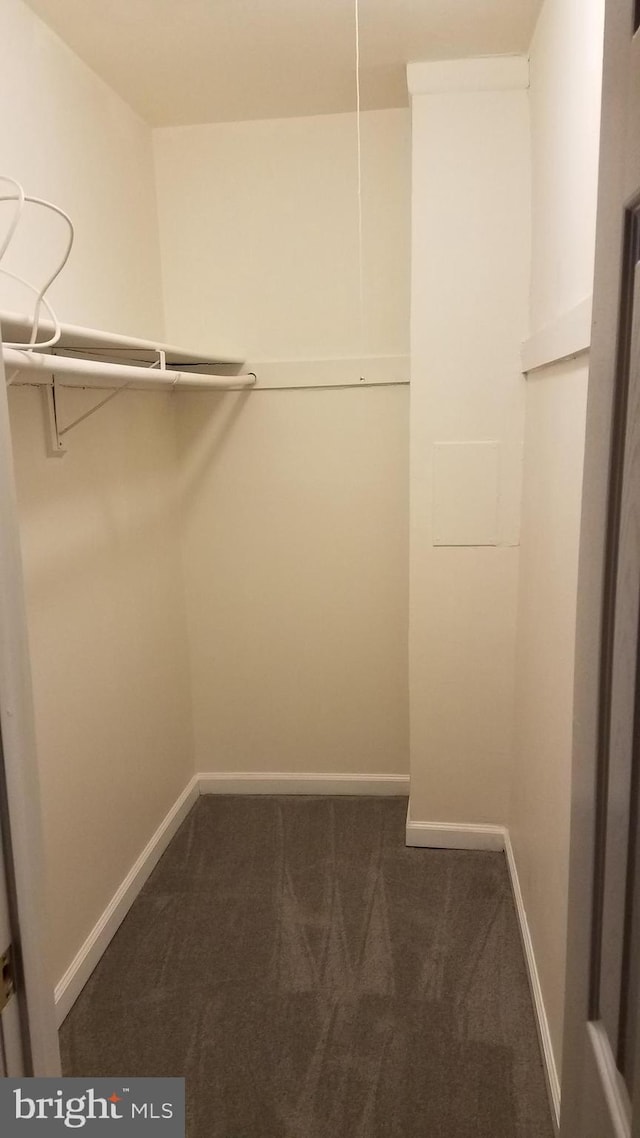 spacious closet with dark carpet