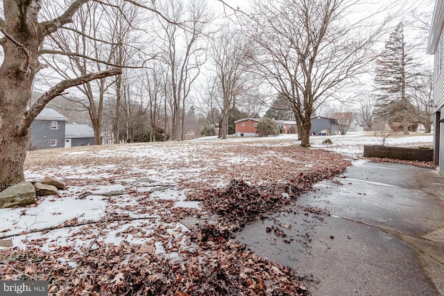 view of snowy yard