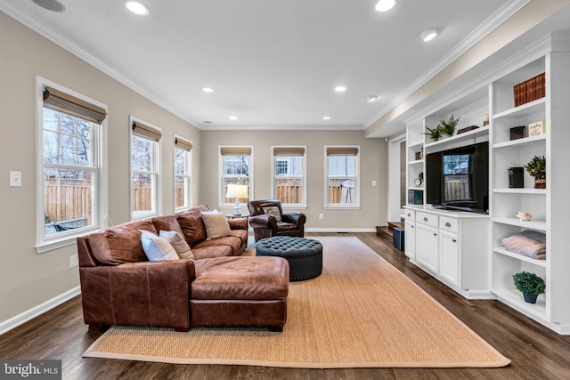 living area with ornamental molding, dark wood-style flooring, and baseboards