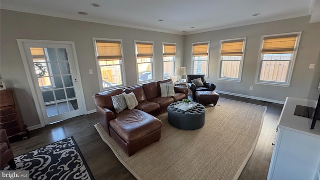 living room featuring dark wood-type flooring and crown molding