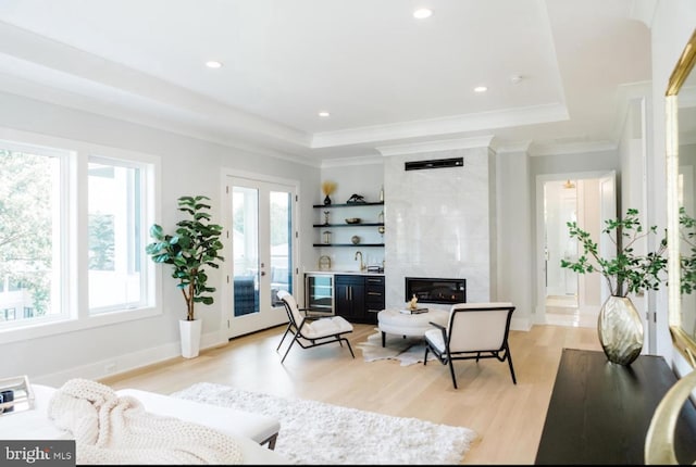 living area featuring a tray ceiling, french doors, and plenty of natural light