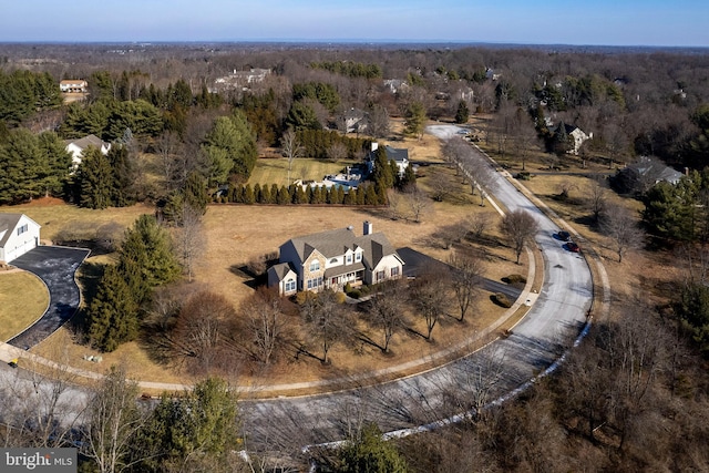 bird's eye view with a view of trees