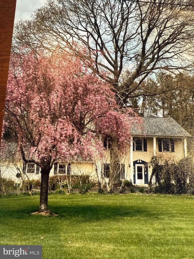 view of front of home featuring a front lawn