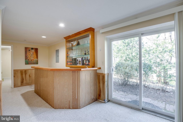 bar featuring a dry bar, plenty of natural light, electric panel, and ornamental molding