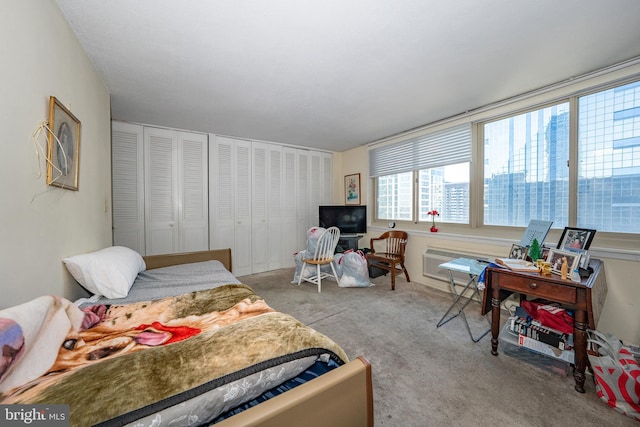 bedroom with multiple closets