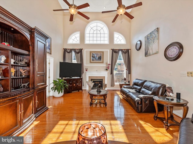 living room with a glass covered fireplace, a healthy amount of sunlight, light wood-type flooring, and a towering ceiling