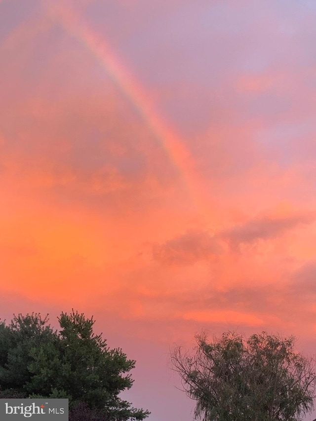 view of nature at dusk