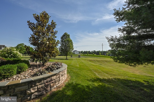 surrounding community featuring a yard