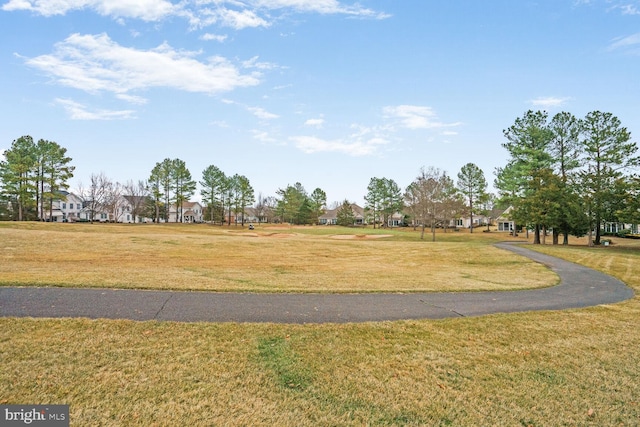 view of yard featuring a residential view