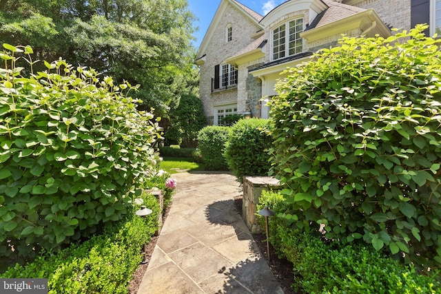 exterior space featuring a patio