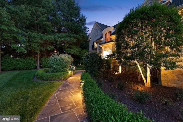 view of yard at dusk