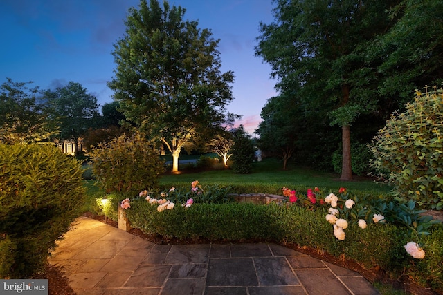 yard at dusk with a patio