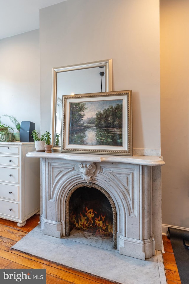 details with a fireplace with flush hearth and wood finished floors